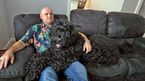 article image -